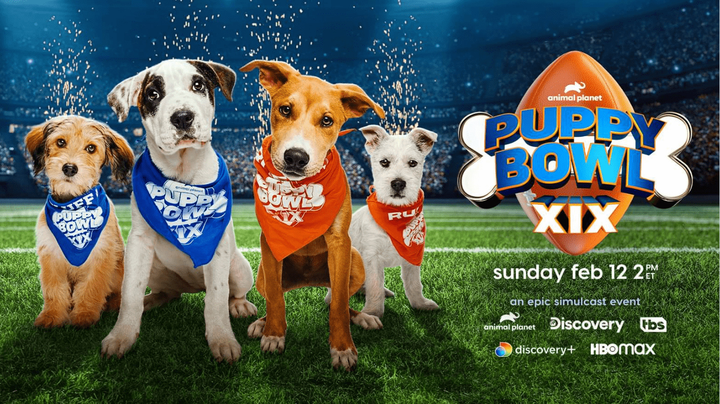 Puppy Bowl XIX – who will win 5th time?